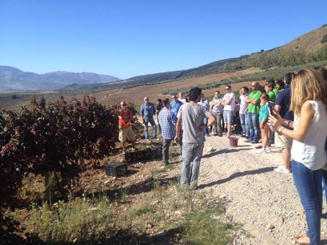 Conociendo los origenes del vino